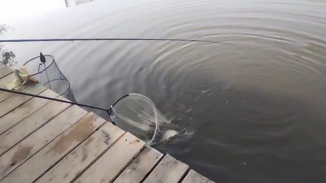 Опарик с кукурузой