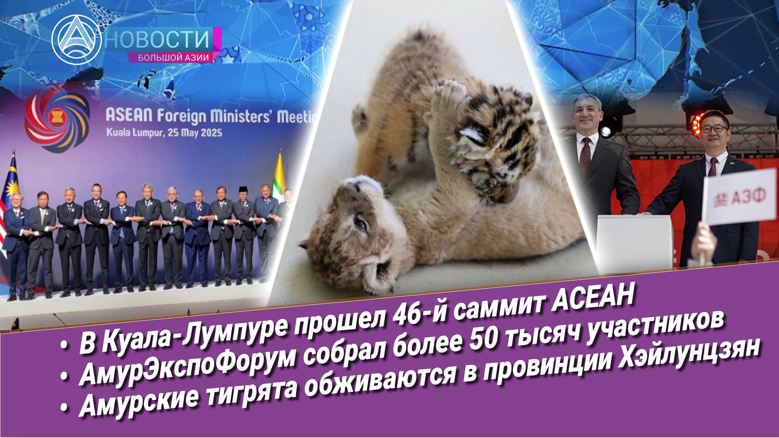 Новости Большой Азии (выпуск 1042): АСЕАН, АмурЭкспоФорум, микропроцессор из Казахстана, у тигров