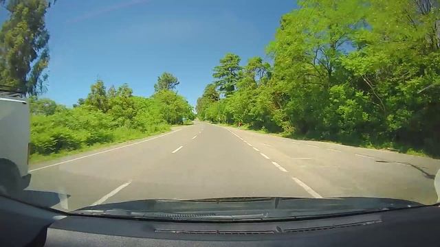 Грузия. Дорога от Батуми до Банановая роща