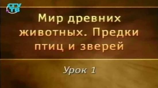 Предки птиц и зверей # 1. Ящеры в перьях