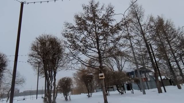 Квартира достанется племяннице! — заявила свекровь з?