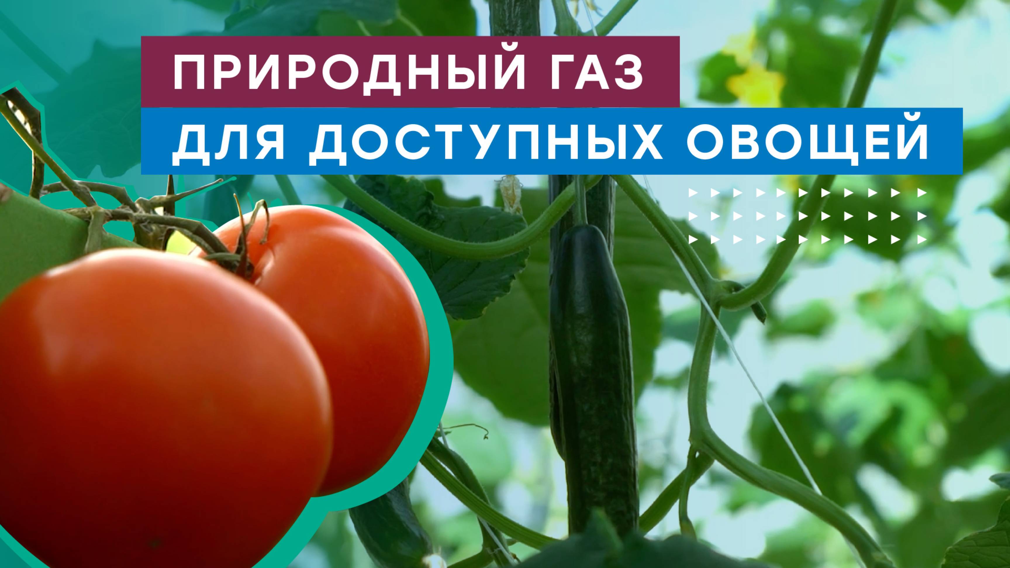 В Республике Ингушетия к газоснабжению подключен крупнейший в регионе агропромышленный комплекс