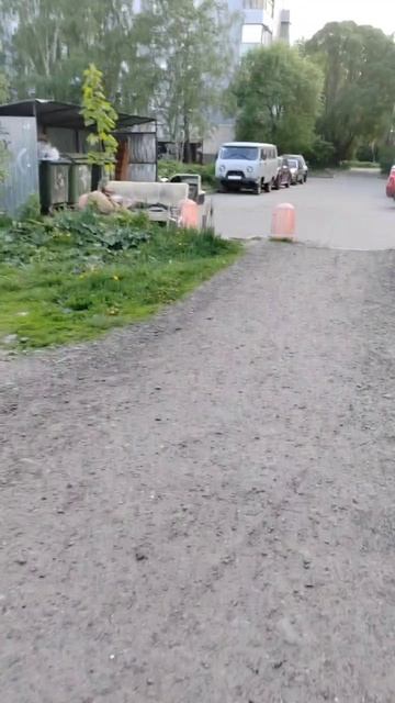 VID_20250529_180723_269.mp4