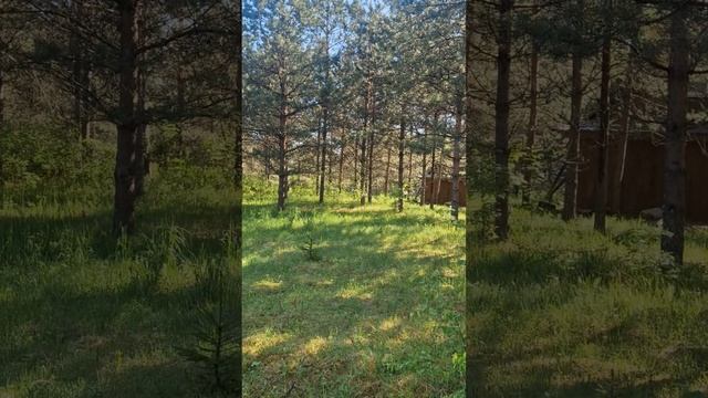 Земля под базу отдыха, отель на берегу озера Грядецкое Торопец