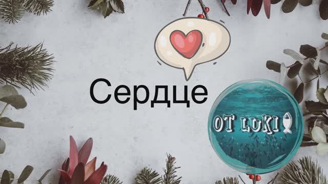 Познавательное видео о чудесах нашего тела. Сердце