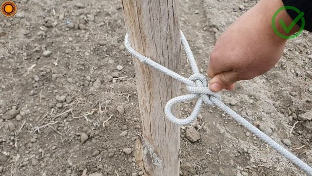 Wow, do you know the secrets of this knot_ A mysterious knot