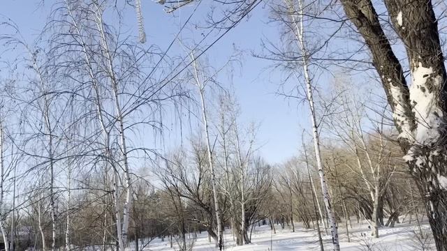 Свекровь пыталась выжить меня из квартиры, подговорив