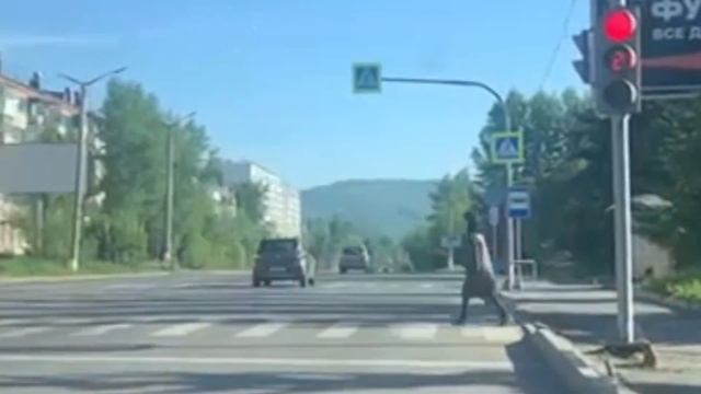 Опасность на дороге: почему нельзя проезжать на жёлтый?