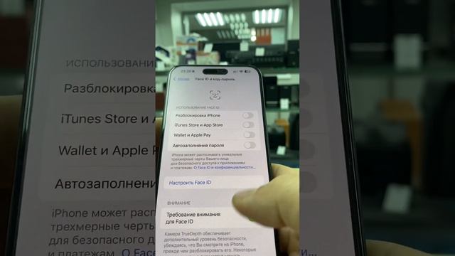 29 мая 2024 г.