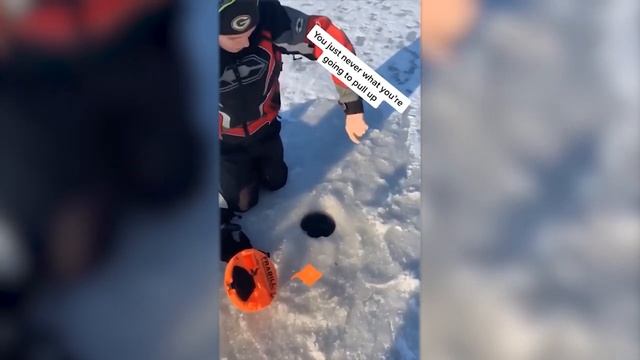лучше приколы 2025 про животных