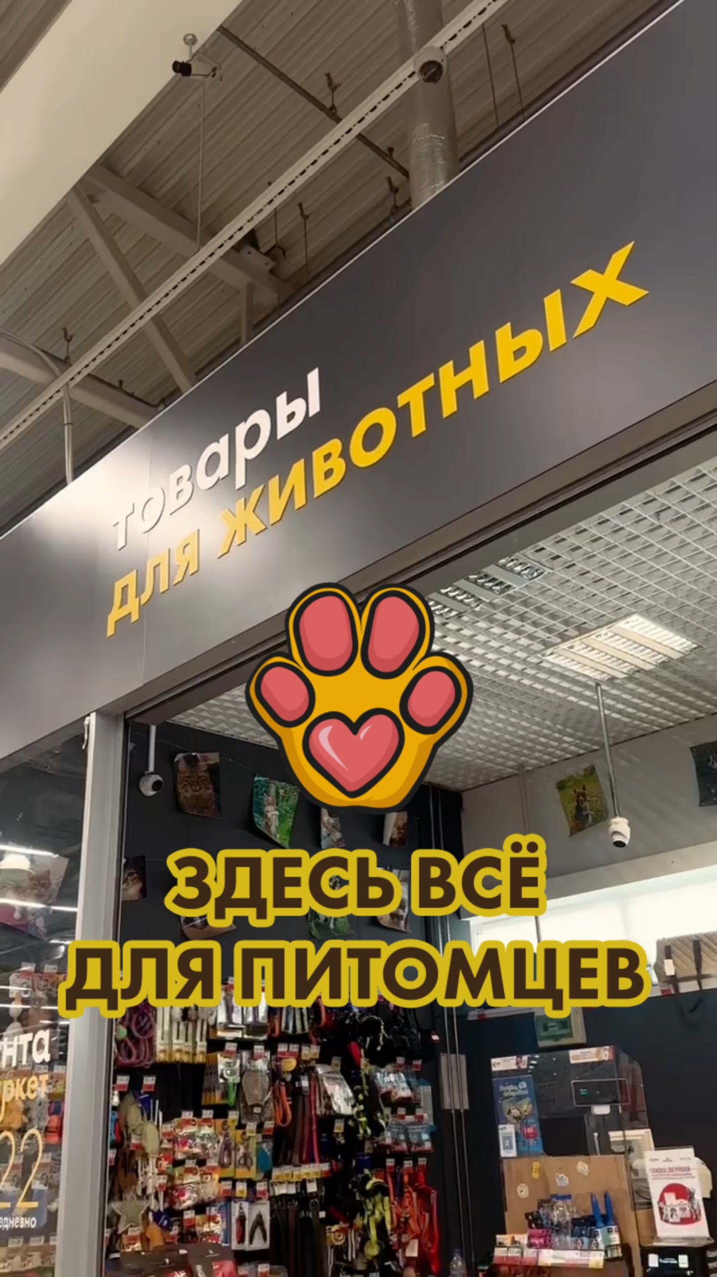 Всё для питомцев со зверскими скидками — в «Ленте Зоомаркет» 😻