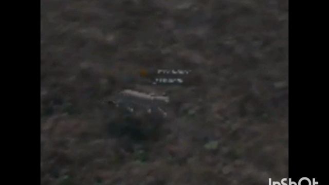 Клип песня львёнка Обаси."Потерял прайд" на русском языке