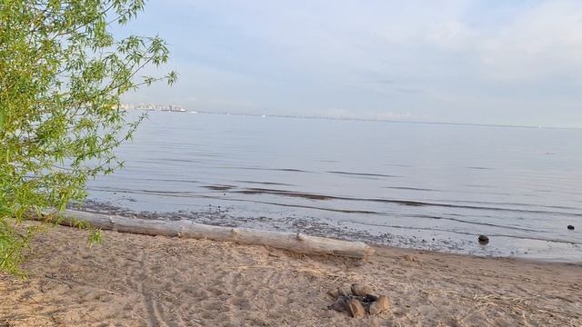 Карта дня от Финского залива 🐬🌊💦🩵☀️