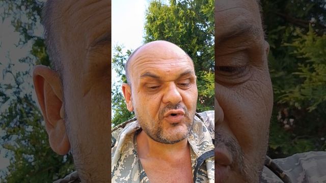 Борьба с тлей.