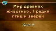 Предки птиц и зверей # 5. От энанциорнисов до современных птиц