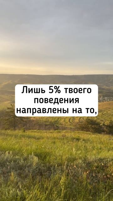 Выйди за рамки!