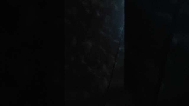 Домик для котов