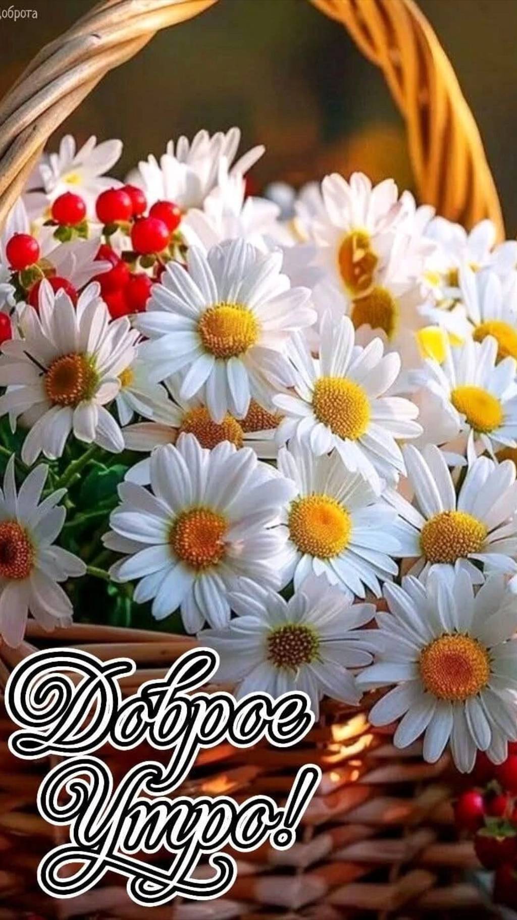 Что приятного и радостного несёт Вам этот день?🥰🌸✨