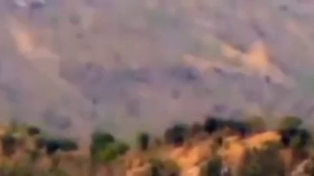 Близ аргентино-чилийской границы путешественники сняли объект весьма причудливой формы