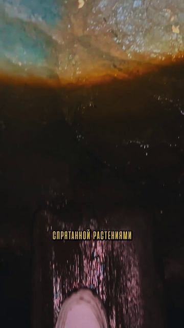 Нетуристическая пещера возле мраморной Локация: 44.787222, 34.288252 #пещера #крым #спелеология