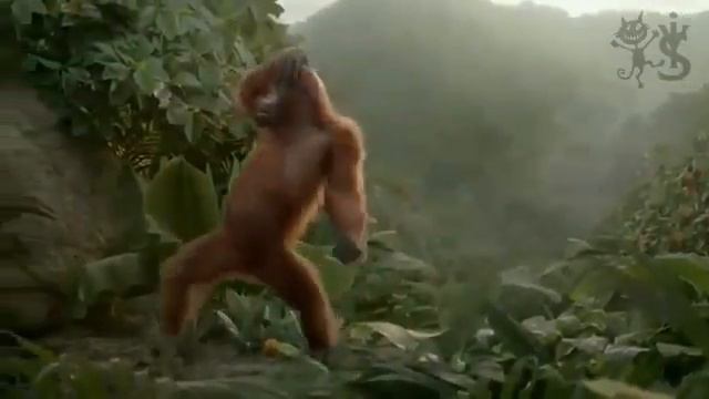 Ура!!!!!! Суббота !!!!!