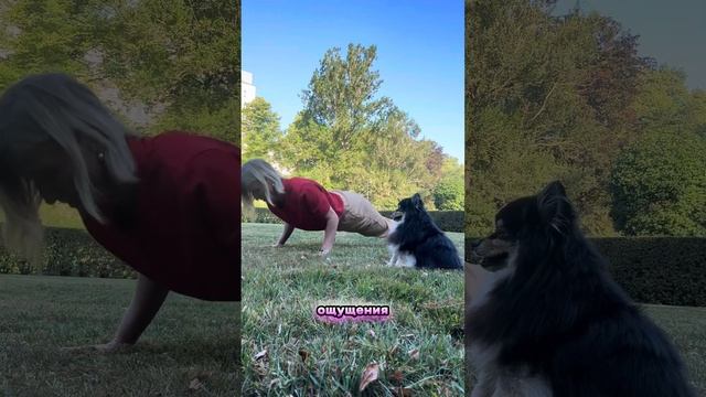 3 минуты выпустить пар 😝