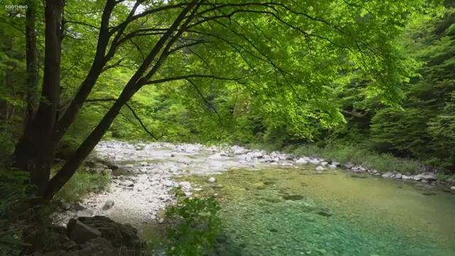 ❤️ Медитация 1 21 от програмата на Дийпак Чопра   Ключ к