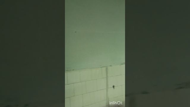 1000032466.mp4