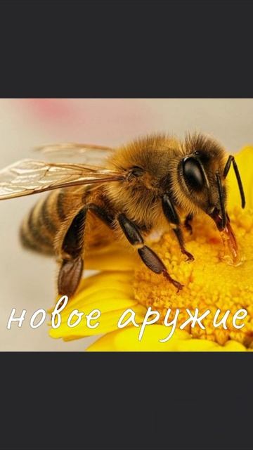 наступило лето а это значит...
