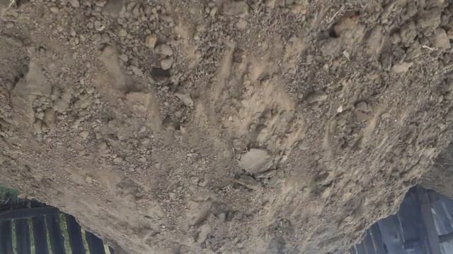 Тимур я и Тубик