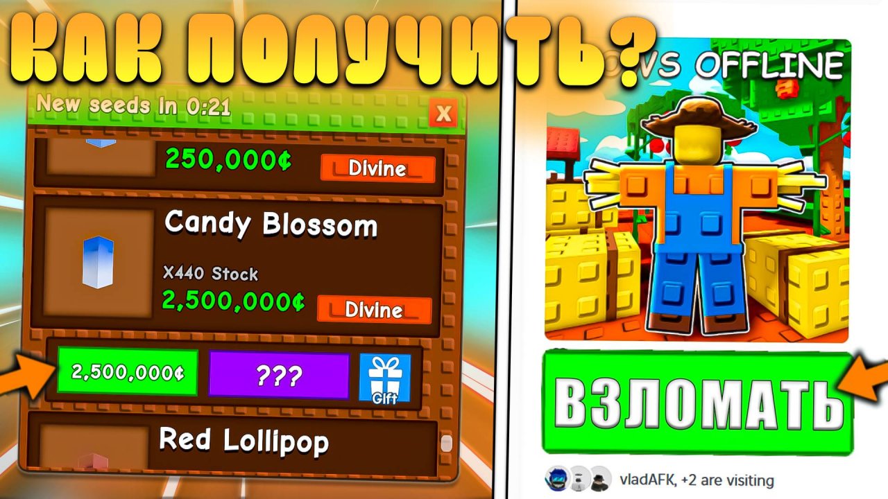 👾Я ВЗЛОМАЛ Grow A Garden И ПОЛУЧИЛ Candy Blossom БЕСПЛАТНО В РОБЛОКС! Вырасти сад в roblox