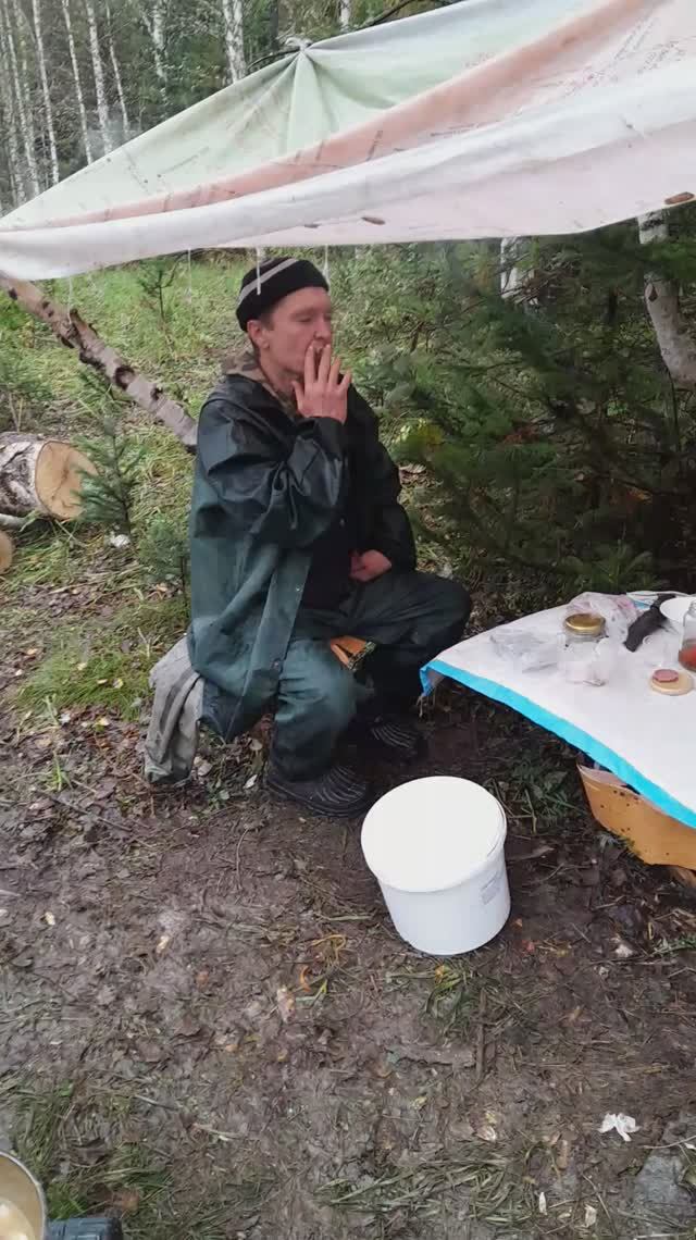 Трезвость норма жизни
