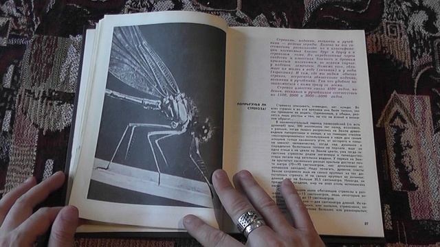 "Мир животных" (Игорь Акимушкин, 1975)