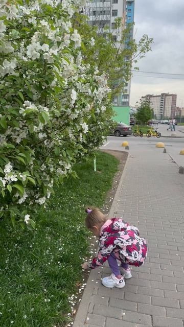 На лето большие такие надежды…