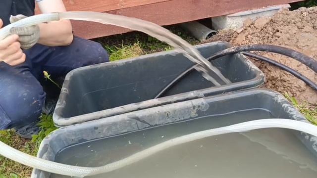 Абиссинка с неплохой водой
