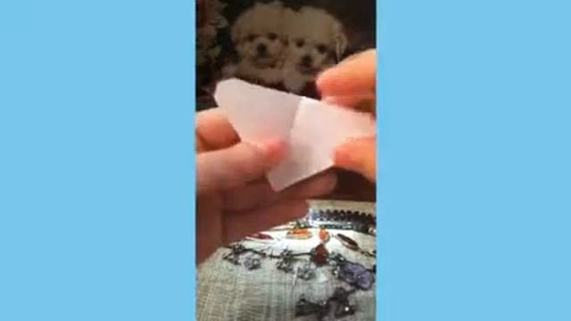 Как сделать 3D бабочку из бумаги!DIY!!!
