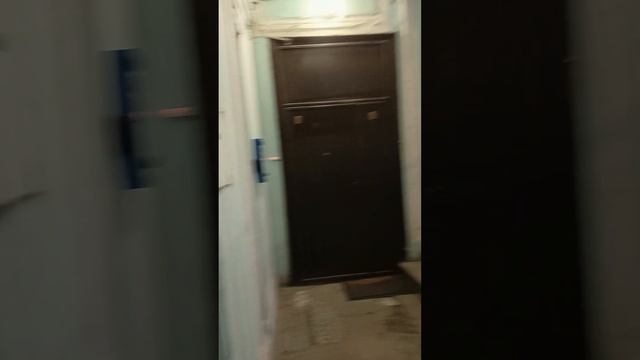 Питер ул.Миллионная 23