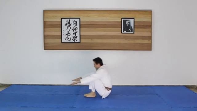 Ushiro Ukemi (уширо укеми) - падение со страховкой на спину