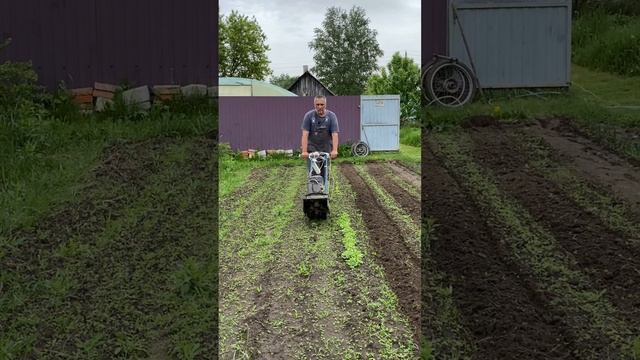 Аккуратная прочистка междугрядий Лаплошем