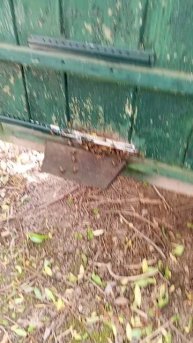 29 мая + 31 пчелки заливают все медом.