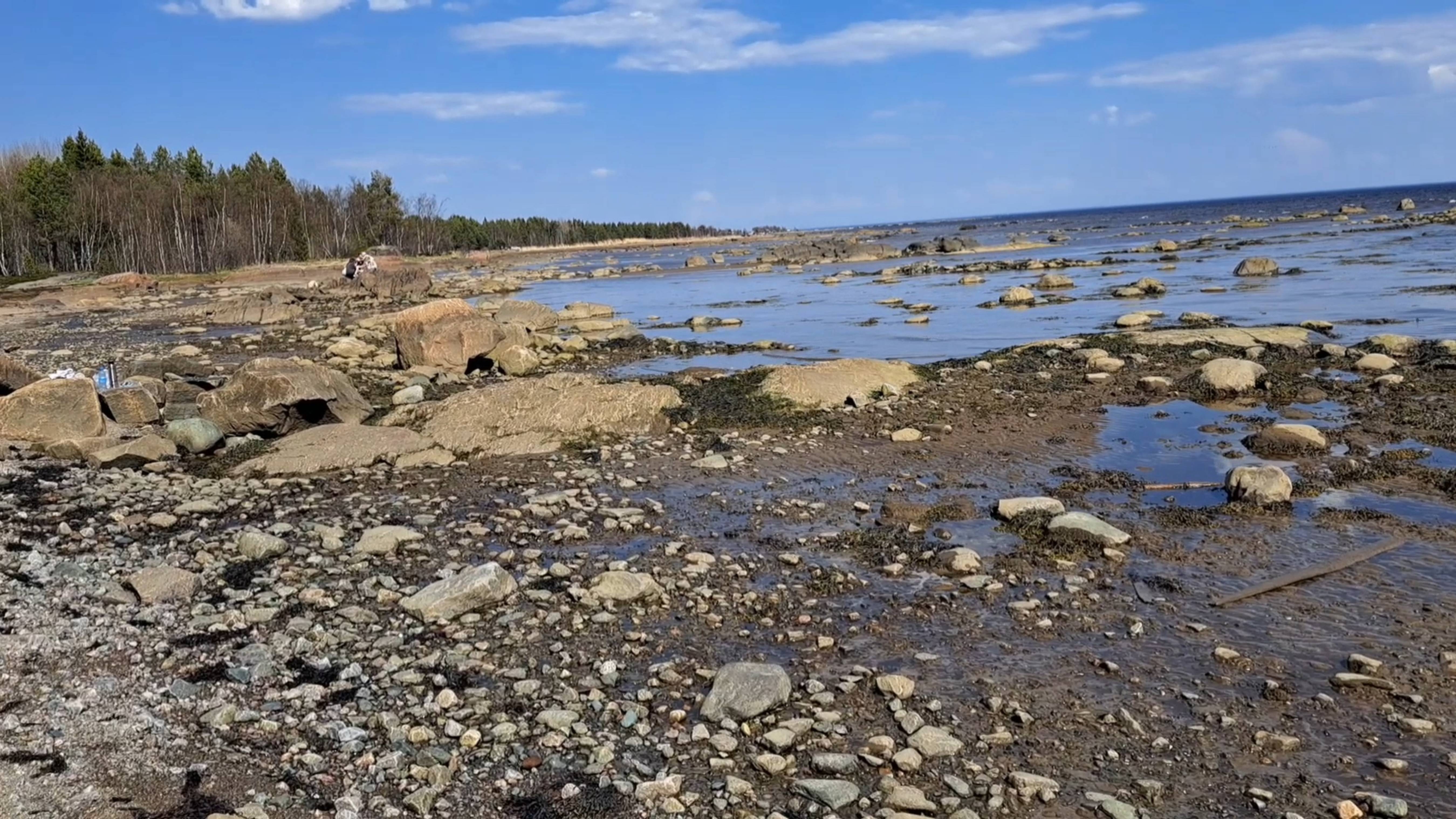 Едем на "Орлане" к Белому морю... Чёрное море мне больше по душе🌊🫶