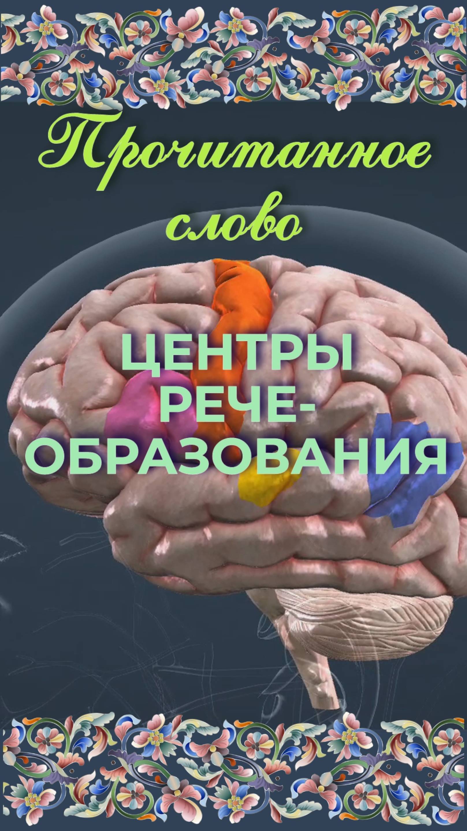 Прочитанное слово - центры речи.