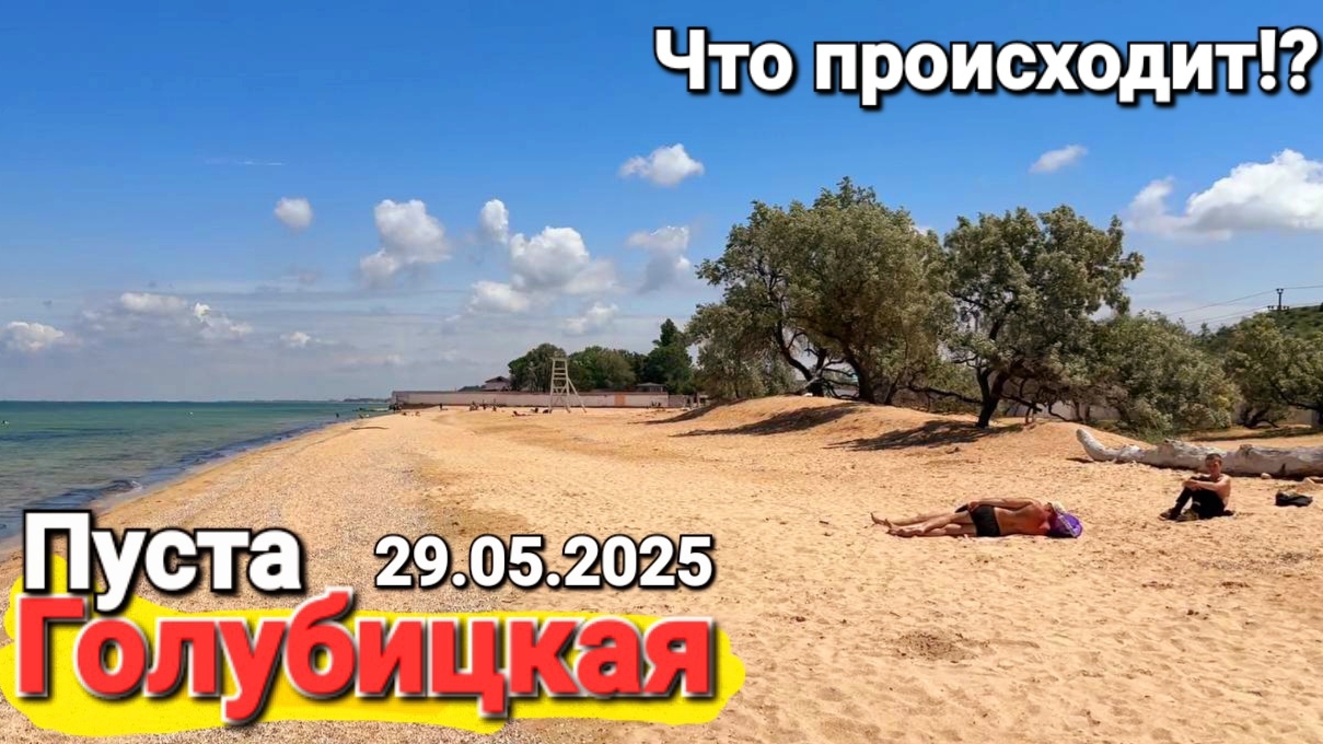 Гуляем по пляжам Азовского моря онлайн! Медузы, мазут, водоросли, холодная вода. 29.05.2025