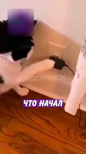 Новостничок (108)