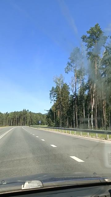 Дорога.