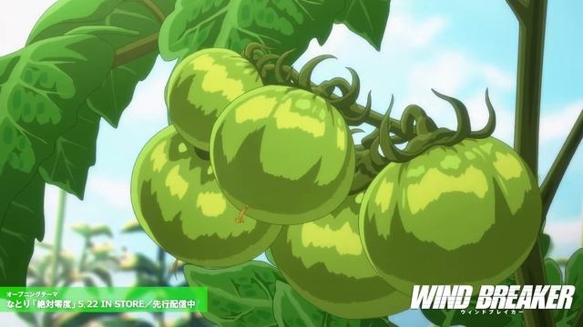 Ветролом/Wind Breaker (Opening 1)