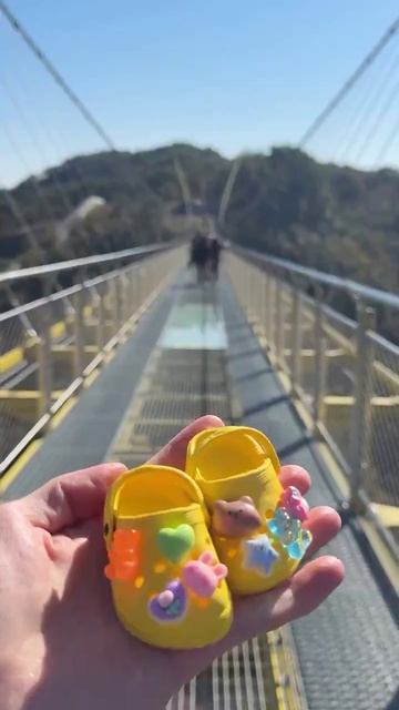 сама носи эти тапочки!😎
