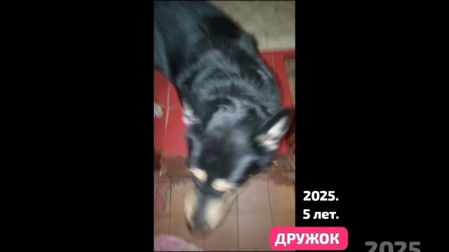 Он летел с третьего этажа и прощался с жизнью. Жизнь осталась. С Одной конечностью попрощался.