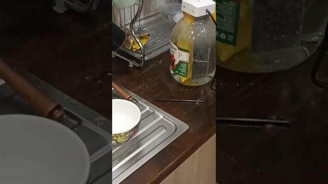 Живая вода прибор нержавейка.mp4