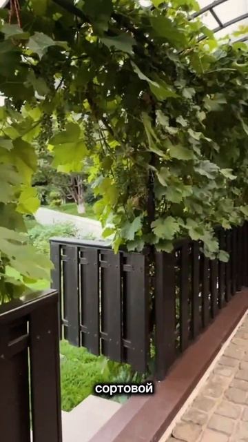 Часть 4Элитная недвижимость.Приватный особняк в Медеу